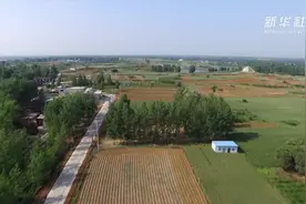这个墓葬群发掘  “王子朝奔楚”千古之谜有望破解视频封面