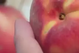 桃子虽好但这些人不能吃，以后都不要吃错了！