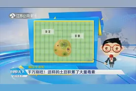千万别吃！这样的土豆积累了大量毒素视频封面