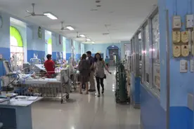 菲律宾超过20万人感染登革热  882人因病死亡视频封面