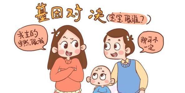 生男生女由谁决定（宝宝性别由谁决定男孩像妈）