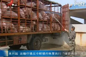 9月起 运输仔猪及冷鲜猪肉恢复执行“绿色通道”政策