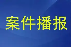 猎取八哥幼鸟出售获利，这起非法狩猎刑附民公益诉讼案判了图片