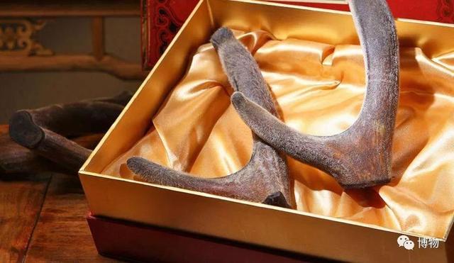 鹿角化石怎么盘