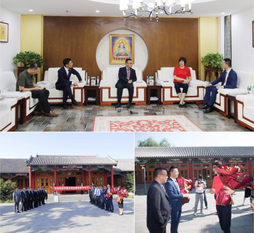 郎平代言国肽胶原蛋白肽价格 2026年郎平代言的国肽效果