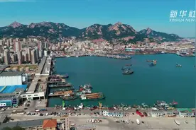 开海第一捕  归来鱼满舱视频封面