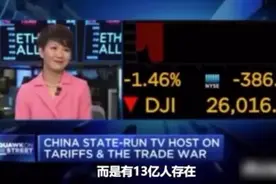 从容！央视主播刘欣做客美国电视台直播节目，回应热点问题图片
