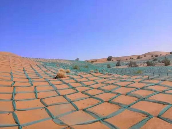 鸡皮疙瘩no5手机在线