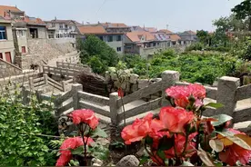 在崂山有一个小村盛世美颜被称“最美渔村”图片