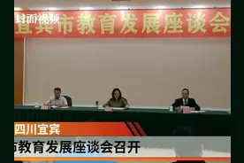 宜宾市教育发展座谈会召开
企业家们献计献策视频封面
