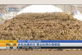 租期没到承包地遇拆迁,男子办营业执照受阻,一个月要交30张证明！视频封面