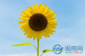 黑龙江高考文综答案解析 2020高考黑龙江文科综合真题试卷图片