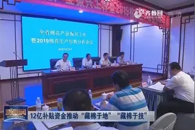 12亿补贴资金推动“藏棉于地”“藏棉于技”视频封面
