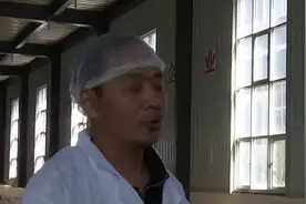 甘肃小榆树食品有限公司武山水果玉米生产线加工生产繁忙视频封面
