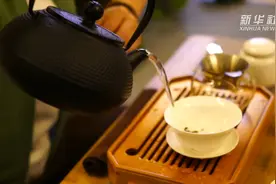 绿、白、黄　来上海这个旅游节品茶视频封面