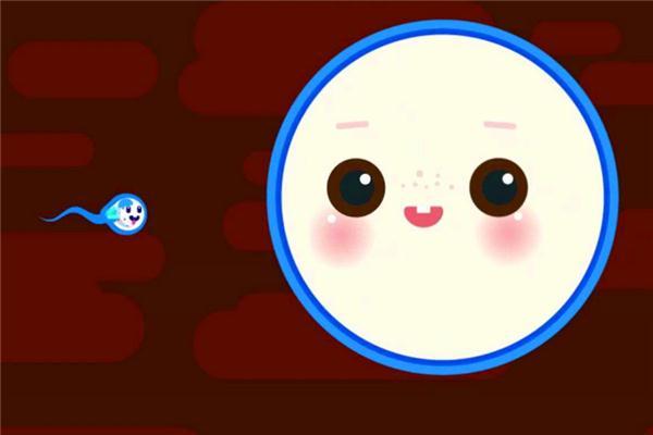 吃什么卵泡多 卵子质量好 2026年多吃什么卵泡长的快点