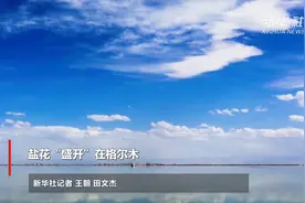 盐花“盛开”在格尔木视频封面