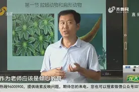 泰安：乡村中学里的“全国优秀教师”视频封面