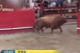 惊险一刻！西班牙斗牛赛场上，一头公牛突然跳出围栏，闯入观众席视频封面