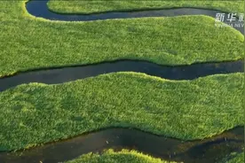 探访中国最大芦苇沼泽湿地——扎龙国家级自然保护区视频封面