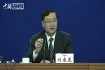 大兴机场何时开航？哪些外国航空公司转场大兴？民航局回应视频封面