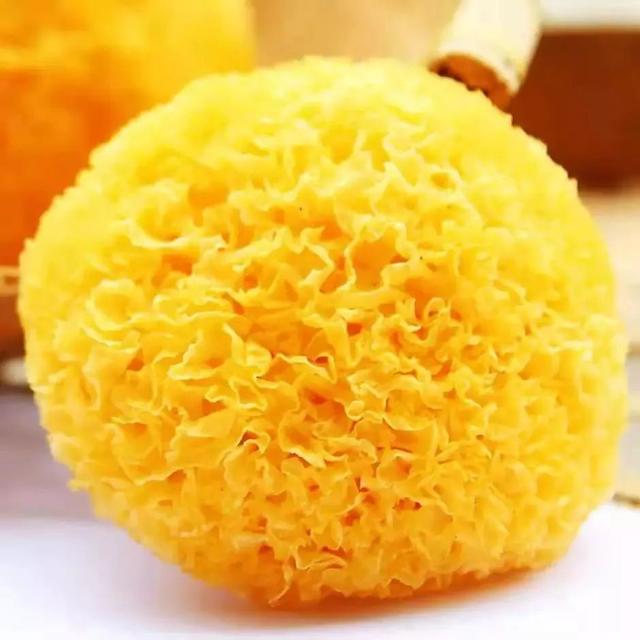 椰子煲花胶 椰子煲花胶不适宜人群
