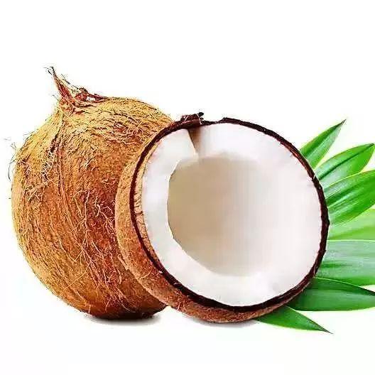 椰子炖花胶窍门 椰子炖花胶窍门视频