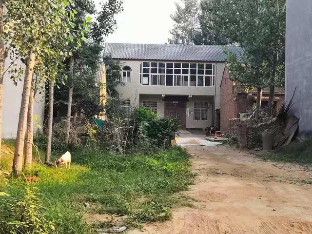 老虎脱逃背后的家庭式马戏团：翁婿被刑拘，老虎表演时刚租来4天