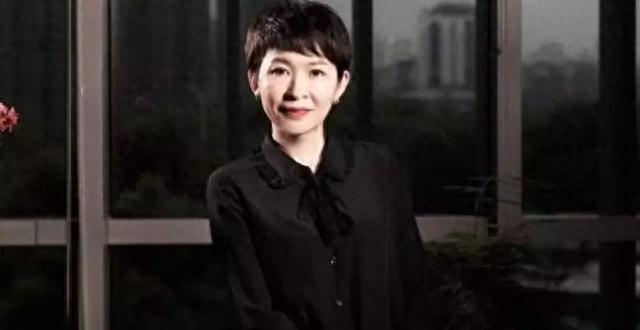 莲花金服逾期，商界穆桂英创始人 配图04