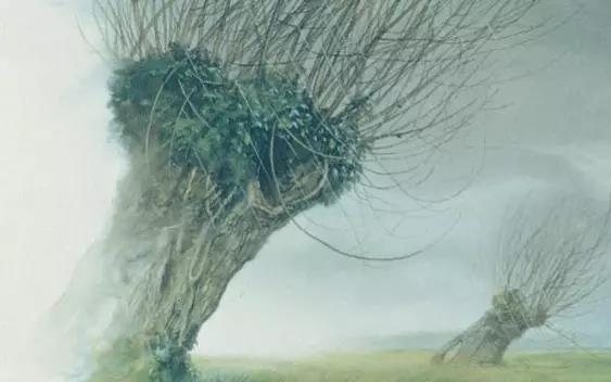 入坑《指环王》，离不开这个“怪老头”