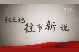 红土地“往事新说”｜世界最大白鹤群“朋友圈”在扩大视频封面