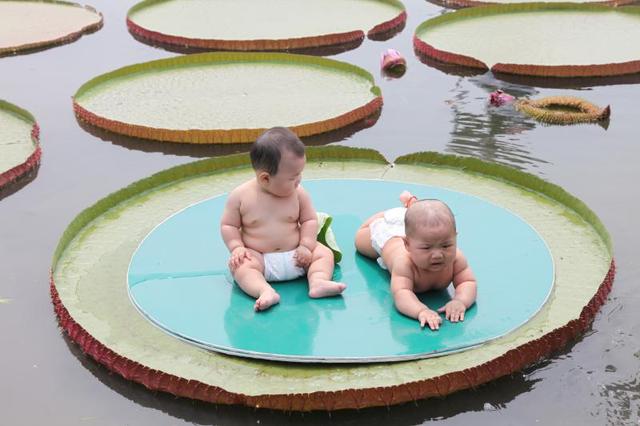 中秋小长假沪上公园热闹：古猗园夜景首次亮相、20位宝宝“轻功水上漂”