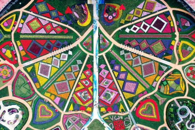 中秋小长假沪上公园热闹：古猗园夜景首次亮相、20位宝宝“轻功水上漂”