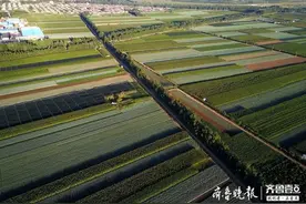 再巧的手也织不出如此美丽的地毯！航拍初秋山东东部田野即将收获图片