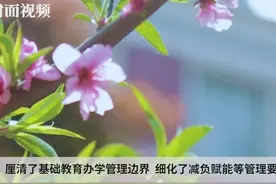 校长可按规定推荐副校长 成都成华中小学管理办法亮点多视频封面