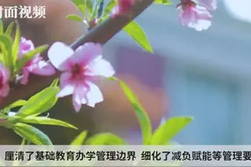 校长可按规定推荐副校长 成都成华中小学管理办法亮点多视频封面