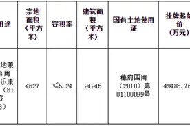 闲置20多年，广州一地铁站上盖微型地回炉重拍！保证金近1亿图片