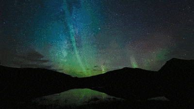 你到南极旅游的机会来了！快看最全攻略