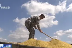 袁隆平再提“禾下乘凉梦”：水稻和高粱一样高，谷粒与花生一样大视频封面
