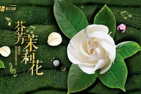 《直播联合国》丨脍炙人口的《茉莉花》从哪里来？视频封面