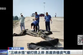 辟谣！“三峡水怪”被打捞上岸，系废弃的橡皮气囊，长约20米视频封面