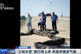 辟谣！“三峡水怪”被打捞上岸，系废弃的橡皮气囊，长约20米视频封面