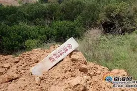 海南暂停富力红树湾所有在建项目，9.69亩枯死红树林已补种图片