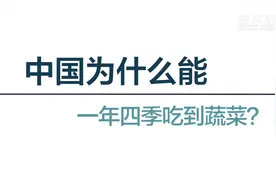 中国为什么能一年四季吃到蔬菜？视频封面