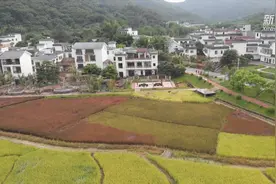 “空心屋”变身民宿群视频封面