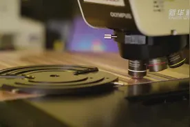 “芯屏器合”看合肥