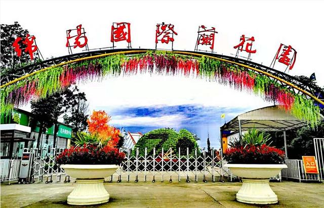 限时抢购 || 绵阳国际兰花园1大1小门票仅19.9元！2大1小门票仅29.9元~