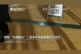 探秘“大国粮仓”！原来中央储备粮库长这样视频封面