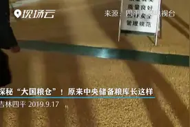 探秘“大国粮仓”！原来中央储备粮库长这样视频封面