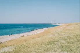 IRENA：可再生能源已成全球新增发电的主要来源图片
